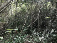 #2: View to the South