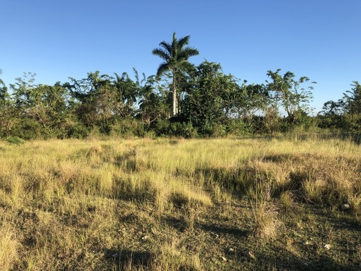 #1: The Confluence from 50 m Distance