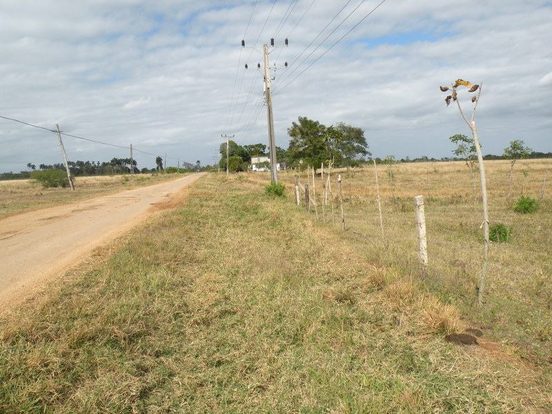 View to the North