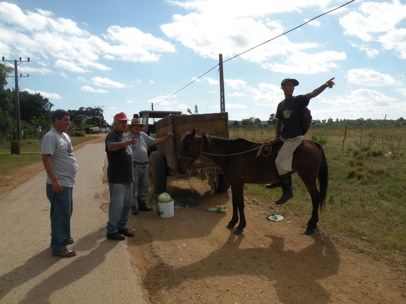 Way Finding Discussion Among Local Residents