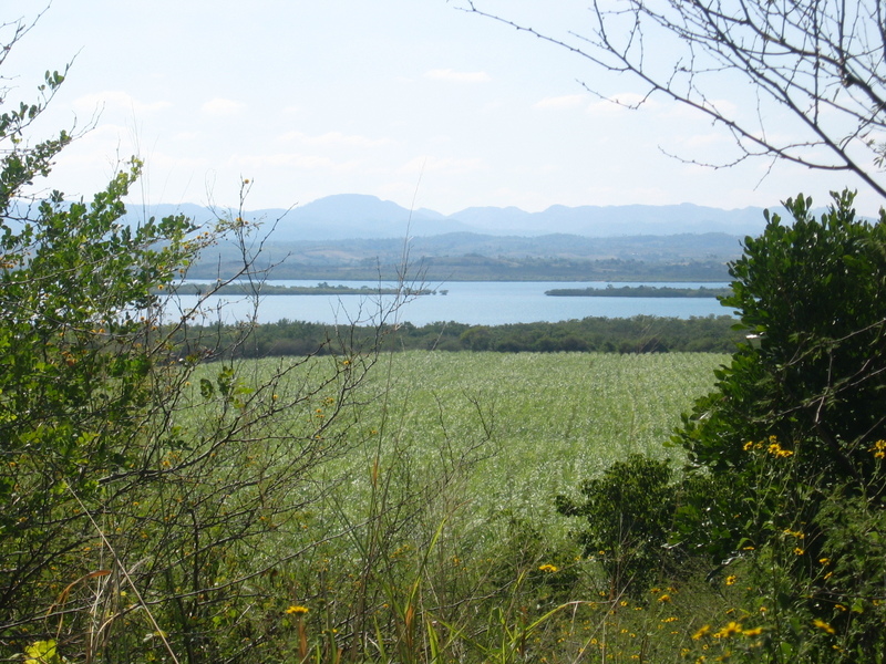 General Area (from 500 m, view towards the south)