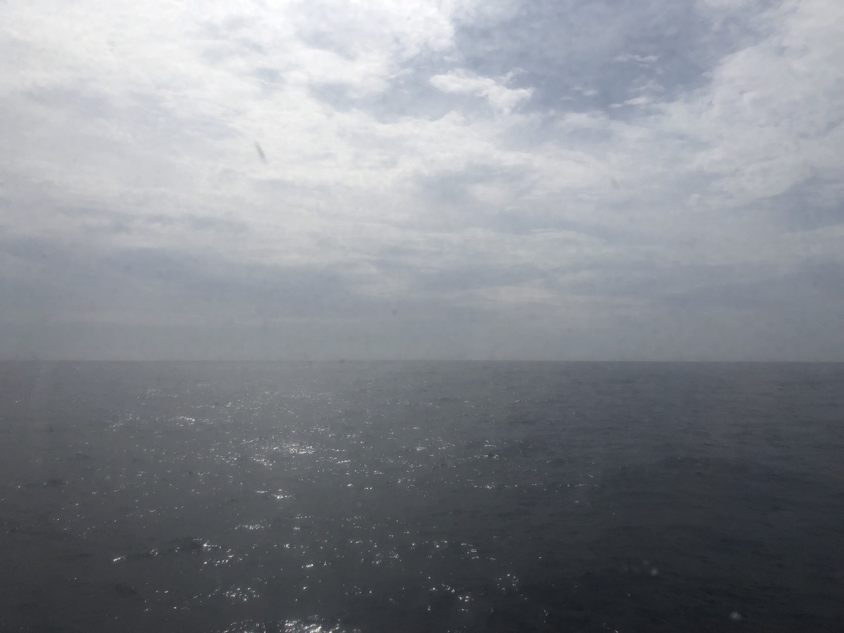 The Confluence as seen from the ferry