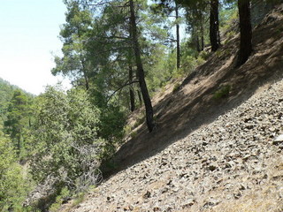 #1: The area in my left 190 meter from the confluence - with rocks... :-(