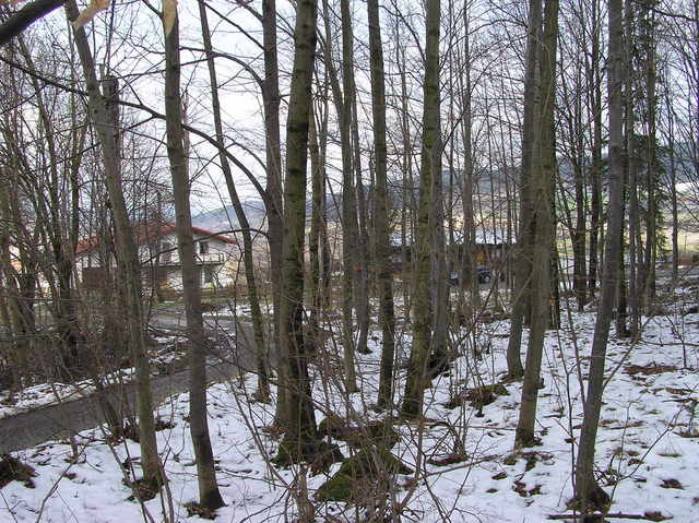 View North (towards Prachatice)