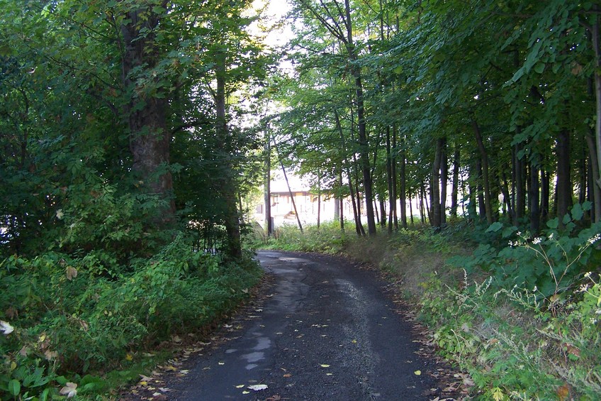 View towards N from the confluence