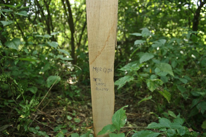 "The mark" / "Отметка"