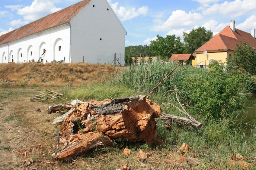 From the backyard / С заднего двора