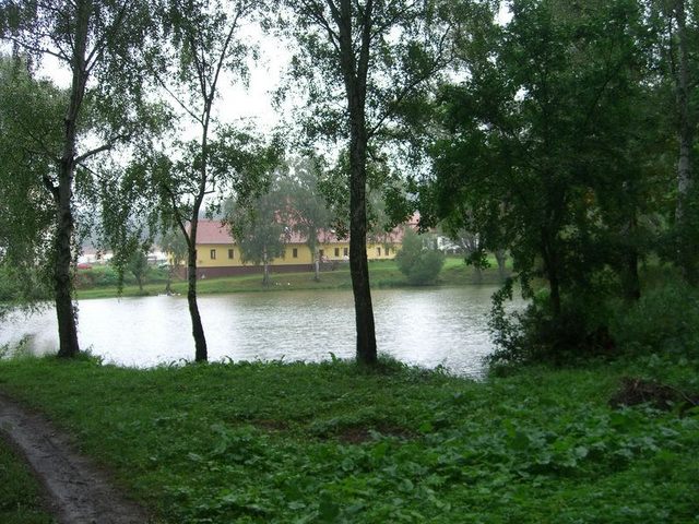 The lake / Der See