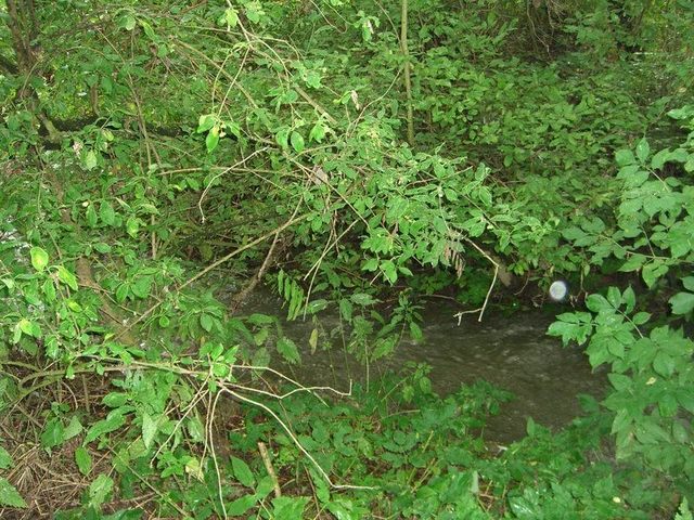 The nearby creek / Der nahegelegene Bach
