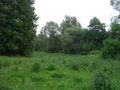 #4: View south / Blick nach Süden