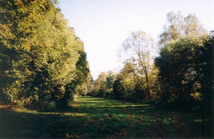 General view of the confluence (towards S)