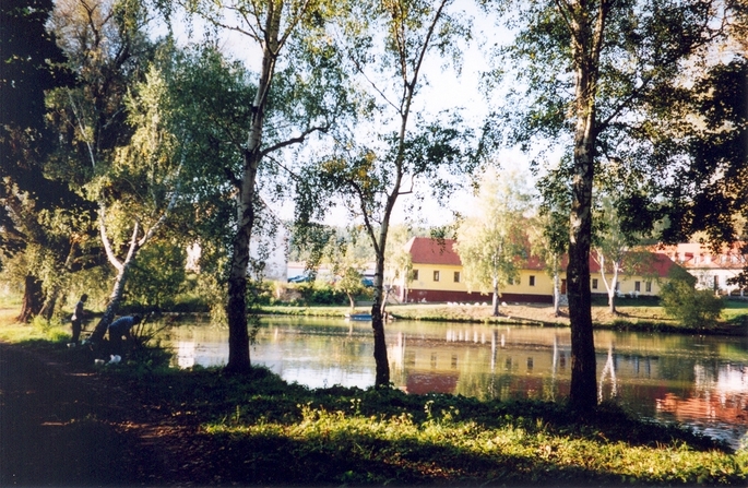 View towards N - 20 m away from the confluence (on its N side)