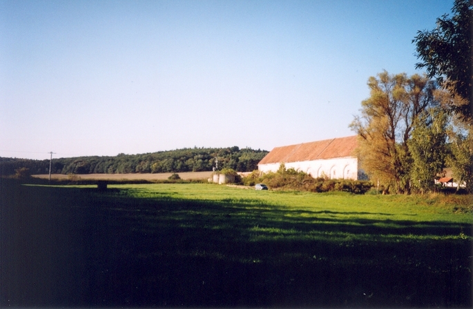 View towards NW - 20 m away from the confluence (on its W side)