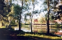 #4: View towards N - 20 m away from the confluence (on its N side)