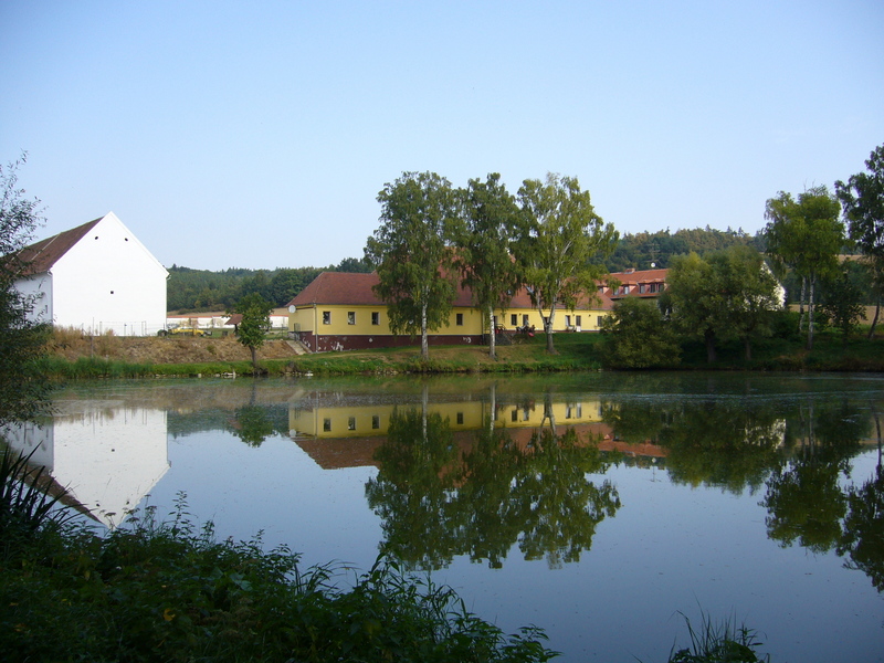 Pond and property. Photo taken 40 metres off the exact point (in my back).