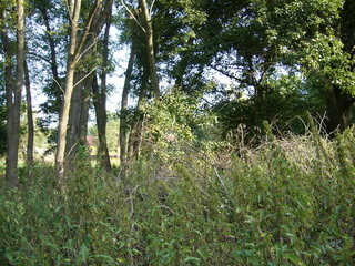 #1: View north, pond and property in the background