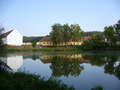 #5: Pond and property. Photo taken 40 metres off the exact point (in my back).