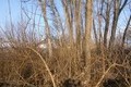 Visit #9: [21-Dec-13]
