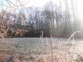 #2: East