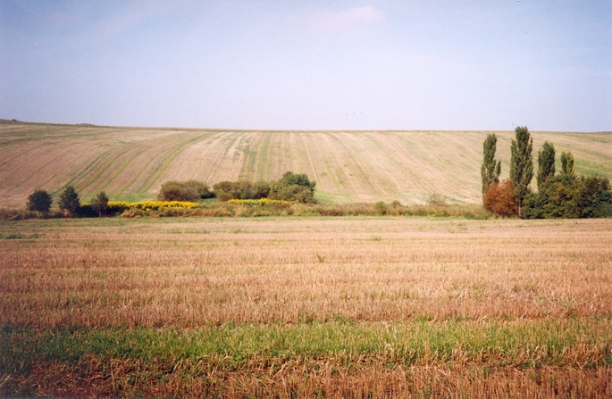 General view of the confluence (towards NW)