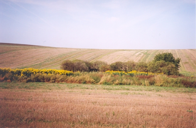 View towards NW from the confluence