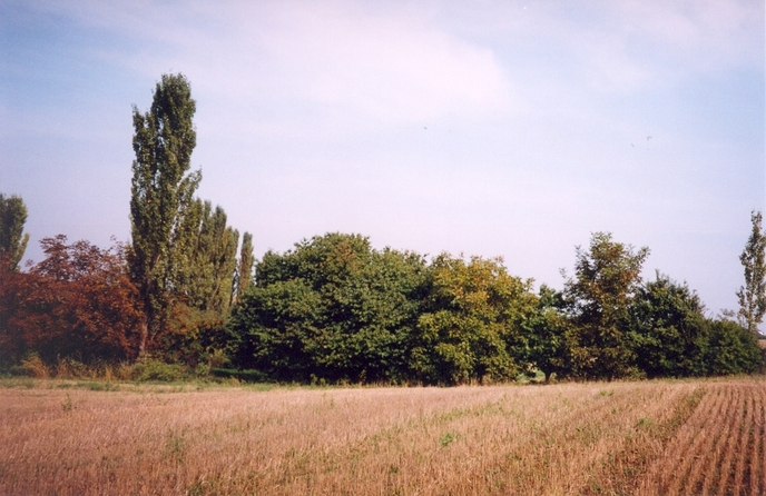 View towards NE from the confluence