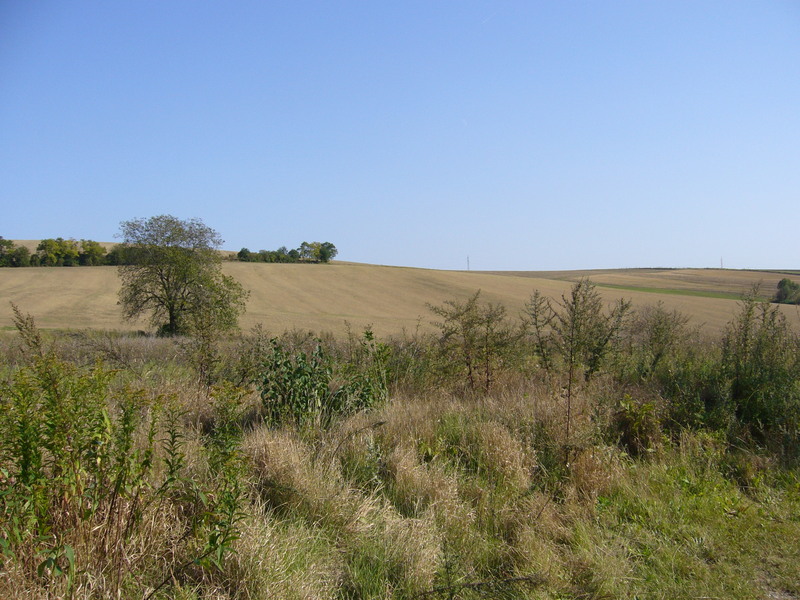 General view of the landscape taken from car park; opposite to CP!