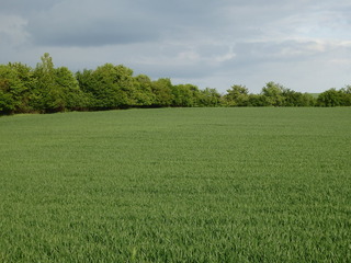 #1: The Confluence from 40 m distance
