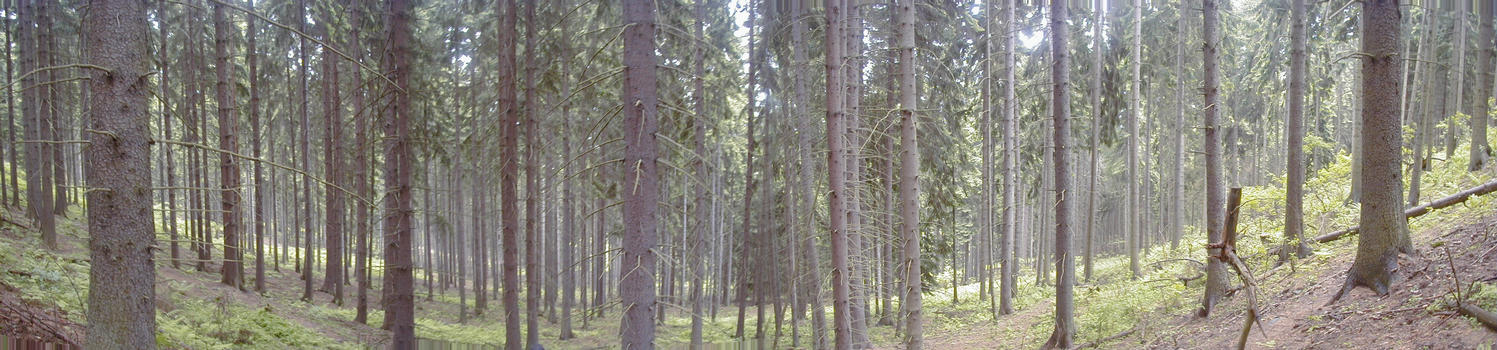 Panorama picture of the confluence