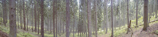 #1: Panorama picture of the confluence