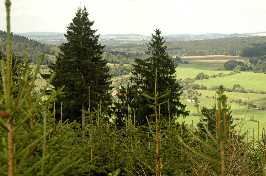 View East from the top