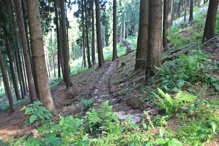 The stairway path / Тропа-лестница