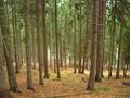 #5: View to the East