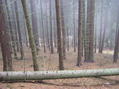 #3: View East