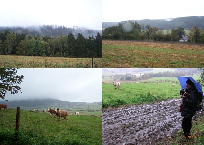 Branišovský vrch ridge, nearby pasture and very muddy road...