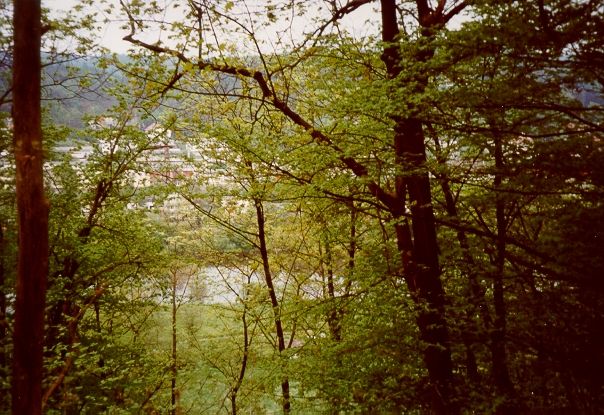 View to North