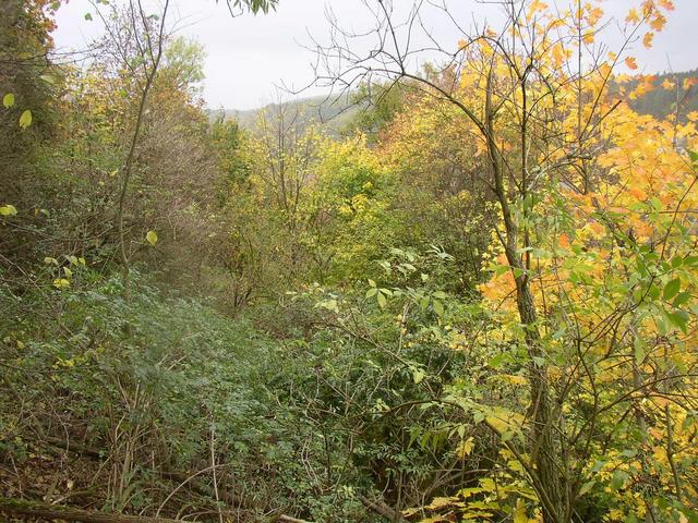 A view from confluence to NW.