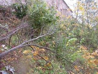 #1: A view of the confluence area from east side (distance 30 m).