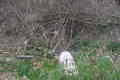 Visit #7: [23-Mar-07]