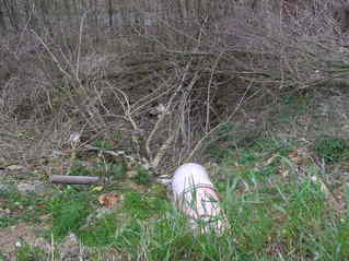 #1: The steep hillside (with the now-famous drainpipe), just below the confluence point