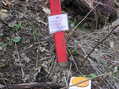 #7: Someone else's marker - about 17m from the true point (according to my GPS receiver)