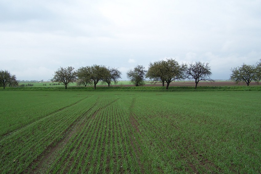 View towards N from the confluence