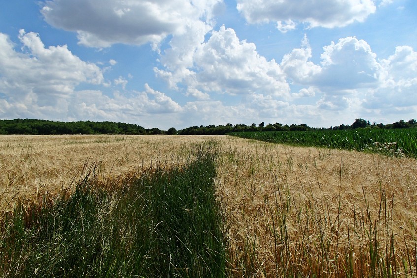 View to the south / Вид на юг