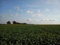 #2: East