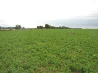 #1: General view of the confluence area from west (approx. 60 m).