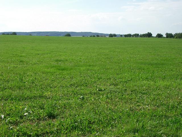 View East – some roofs of Kouřim