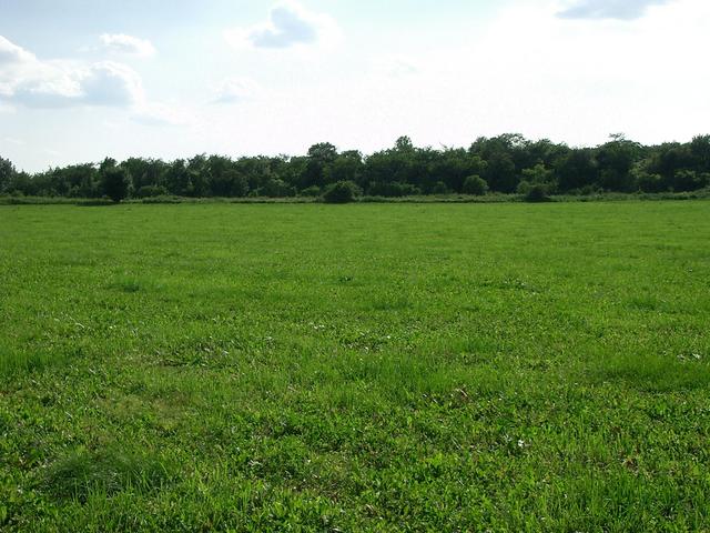 View South –  Stará Kouřim
