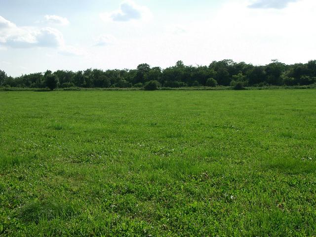 View South –  Stará Kouřim