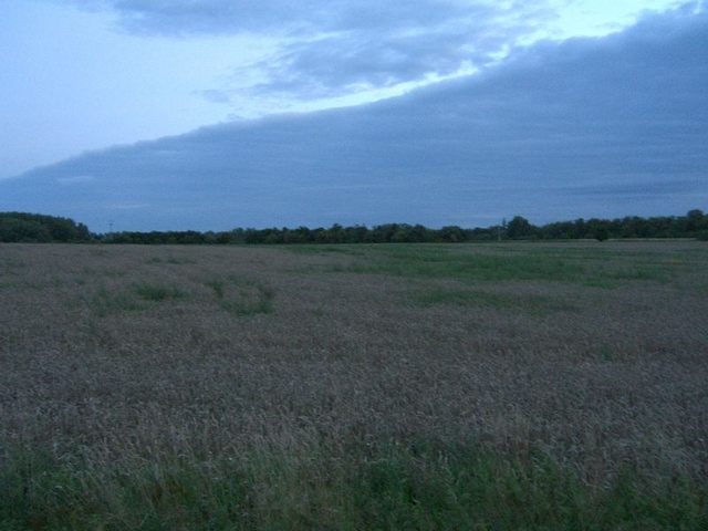 View west / Blick nach Westen