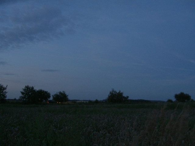 View east / Blick nach Osten